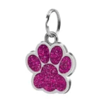 blue chain tag for dog