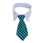 Tie black for dog