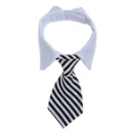 Tie black for dog