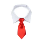 Tie black for dog