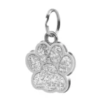 blue chain tag for dog