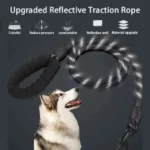 product-image-2014143116_3000x