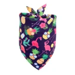 panachi bandana