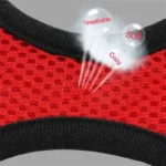 product-image-1793976683_3000x