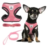 product-image-1793976683_3000x