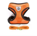 product-image-1793976683_3000x